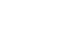 Domex logo